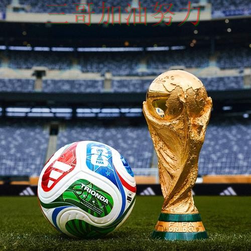 世界杯买球网站入口在哪？真实体验带你了解（2026世界杯）